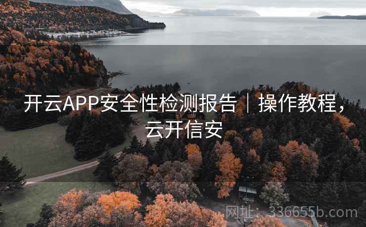 开云APP安全性检测报告|操作教程,云开信安 开云APP安全性检测报告|操作教程,云开信安